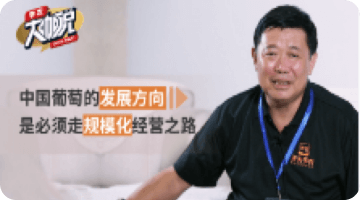 中国普通的发展方向 是必须走规模化经营之路