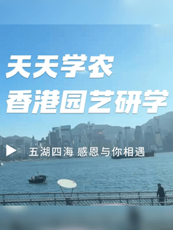 与香港园艺学会联合举办香港园艺研学，专业园境师带队讲解。