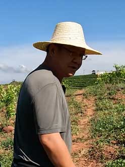 农业人叶涛，50多岁通讯人跨界搞农业，他要用1000万打造一个梦。